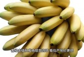 香蕉网国产